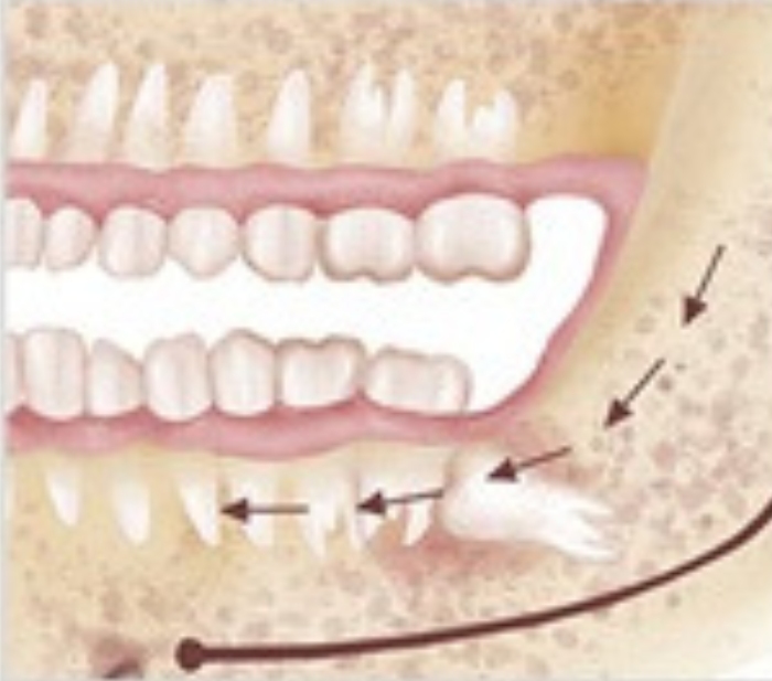 1 2 - Professional Dental