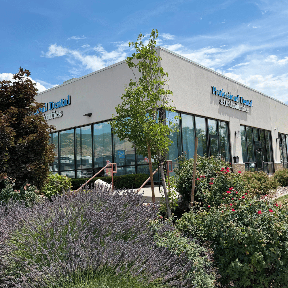 Professional Dental Bountiful in Utah