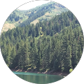 5 Start Review for Millcreek Office